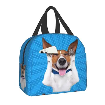 Bolsa de almuerzo portátil con aislamiento térmico para niños y mujeres, bolsa de almuerzo divertida de Jack Parker Terrier Meme